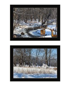 "Great Outdoors-Nature/Winter Forest" 2-Piece Vignette by Trendy Decor 4U, Ready to Hang Framed Print, Black Frame