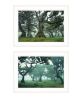 "Enchanted Forest Collection" 2-Piece Vignette By Martin Podt, Ready to Hang Framed Print, White Frame