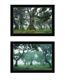 "Enchanted Forest Collection" 2-Piece Vignette By Martin Podt, Ready to Hang Framed Print, Black Frame