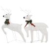 Christmas Reindeers 2 pcs White 40 LEDs