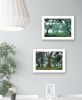 "Enchanted Forest Collection" 2-Piece Vignette By Martin Podt, Ready to Hang Framed Print, White Frame